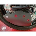 CNC Racing Carbon Fiber GP EVO Front Rotor Cooling Ducts For Ducati Multistrada V4 / S (2025+) CNC Racing Carbon Fiber GP EVO Front Rotor Cooling Ducts For Ducati Multistrada V4 / S (2025+)